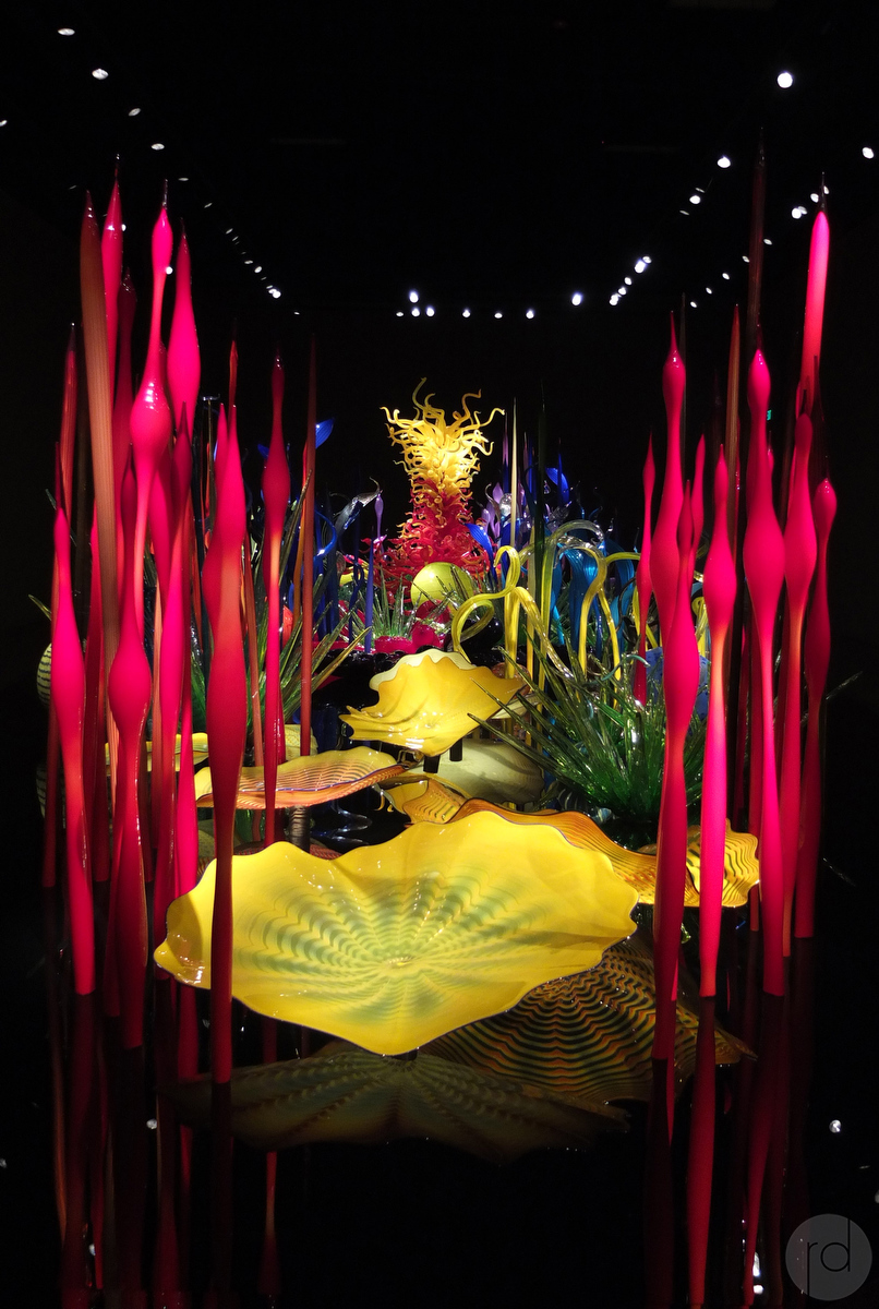 The Mille Flori installation from view from the room entrance. Chihuly Garden and Glass
